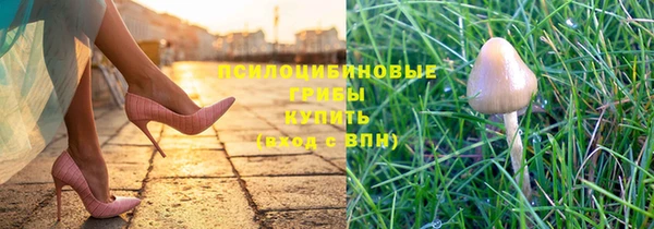 кокс Волосово
