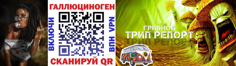 Купить закладки  Краснослободск  Псилоцибиновые грибы Magic Shrooms 